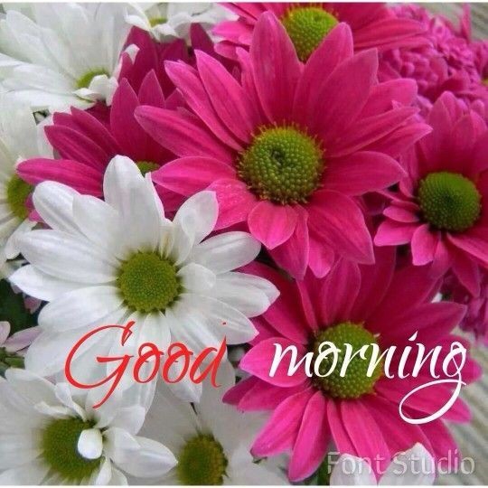 GOod MorNinG
