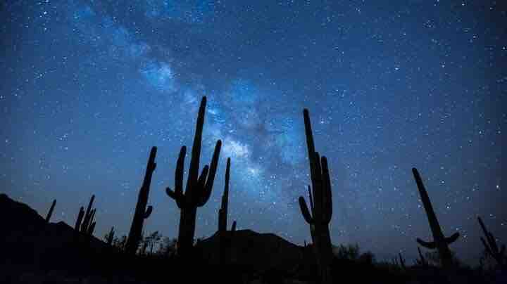 starry night