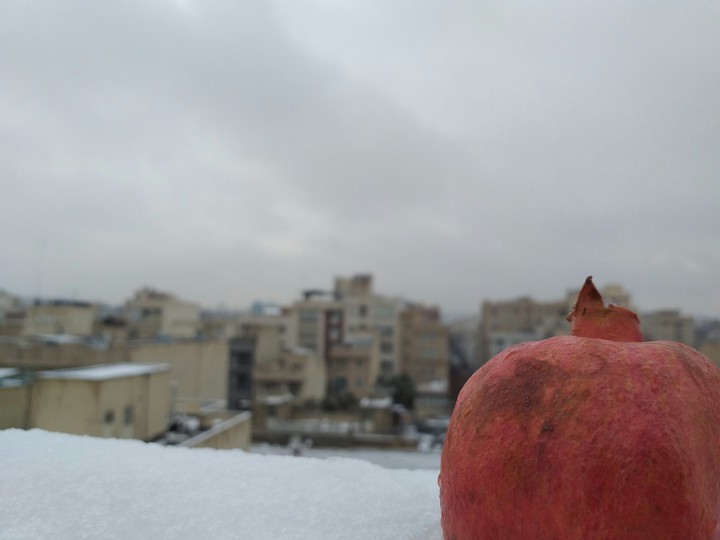 زمـیـن از آمـدن بـرف تـازه خـشـنـود اسـت...