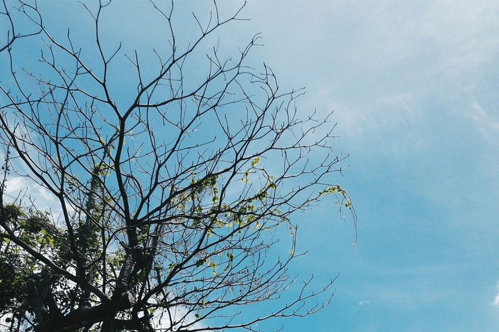 Lonely