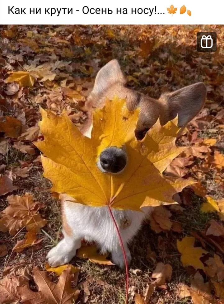 .