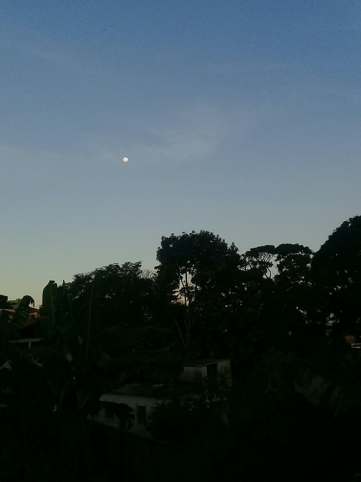 paisagem