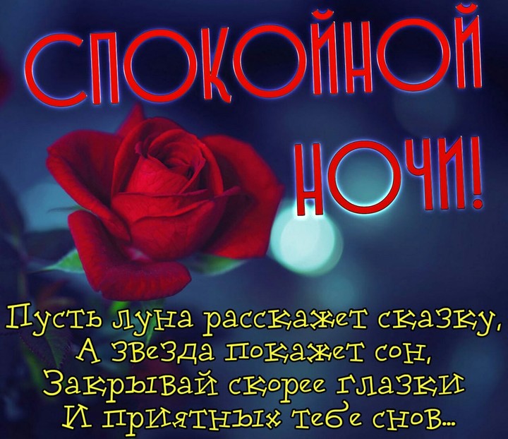 спокойной ночи 