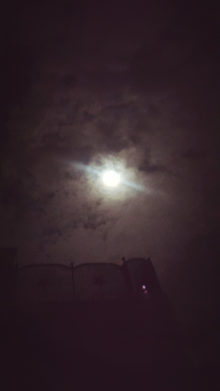 night