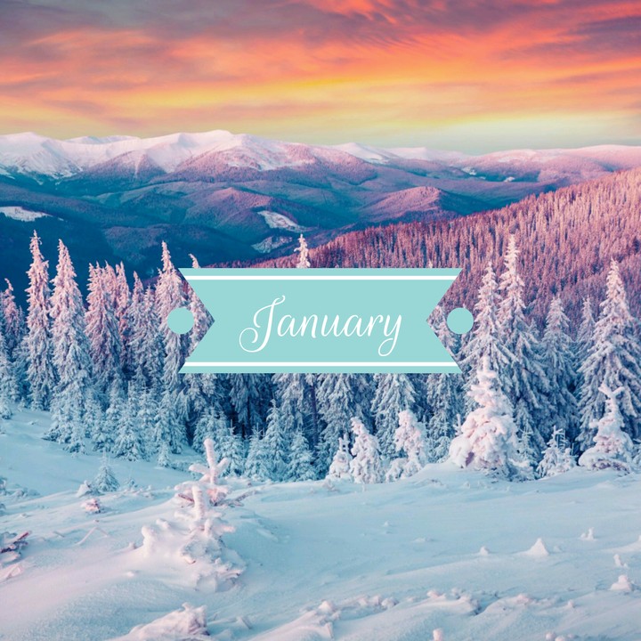 January Trees