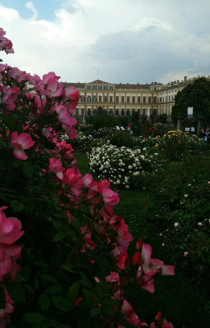 villa Reale d Monza