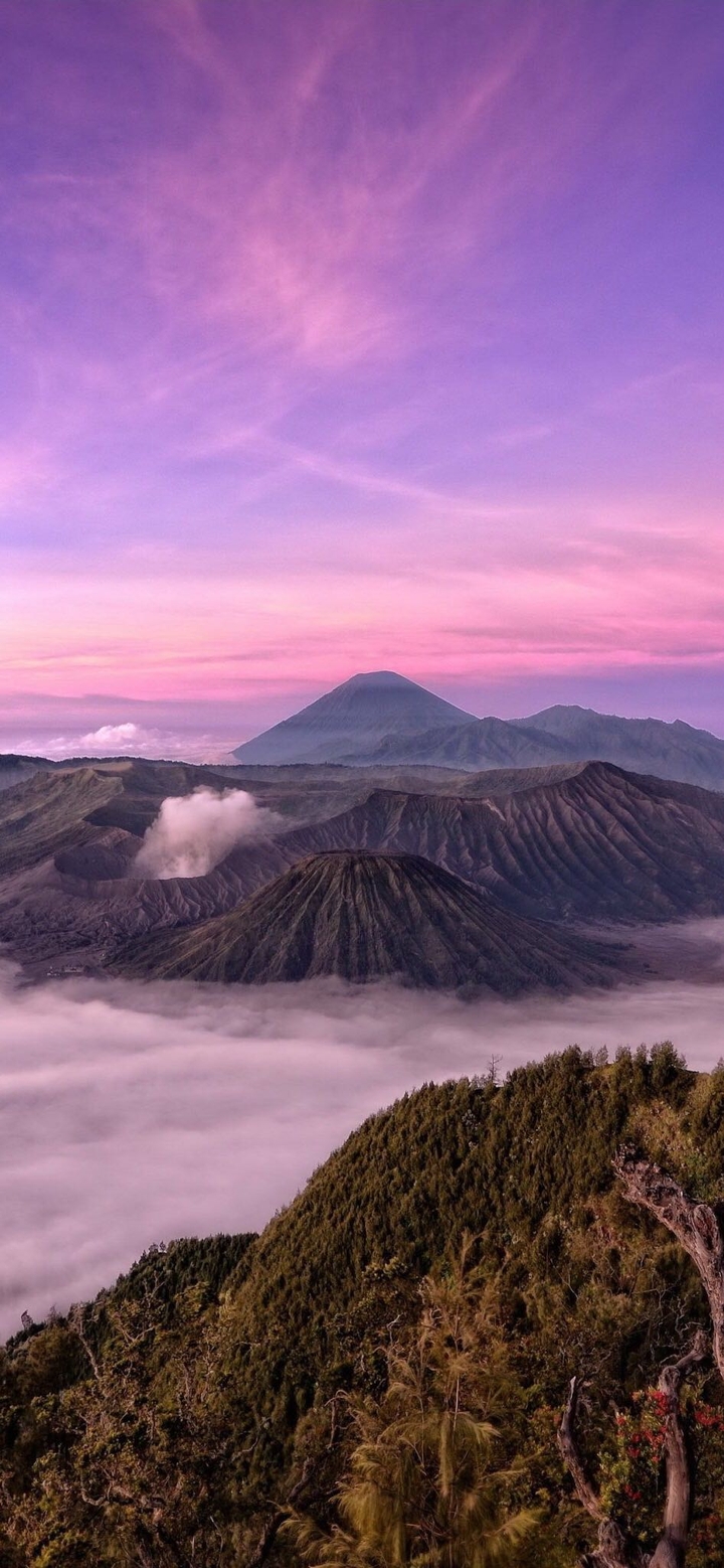 Amazing Nature