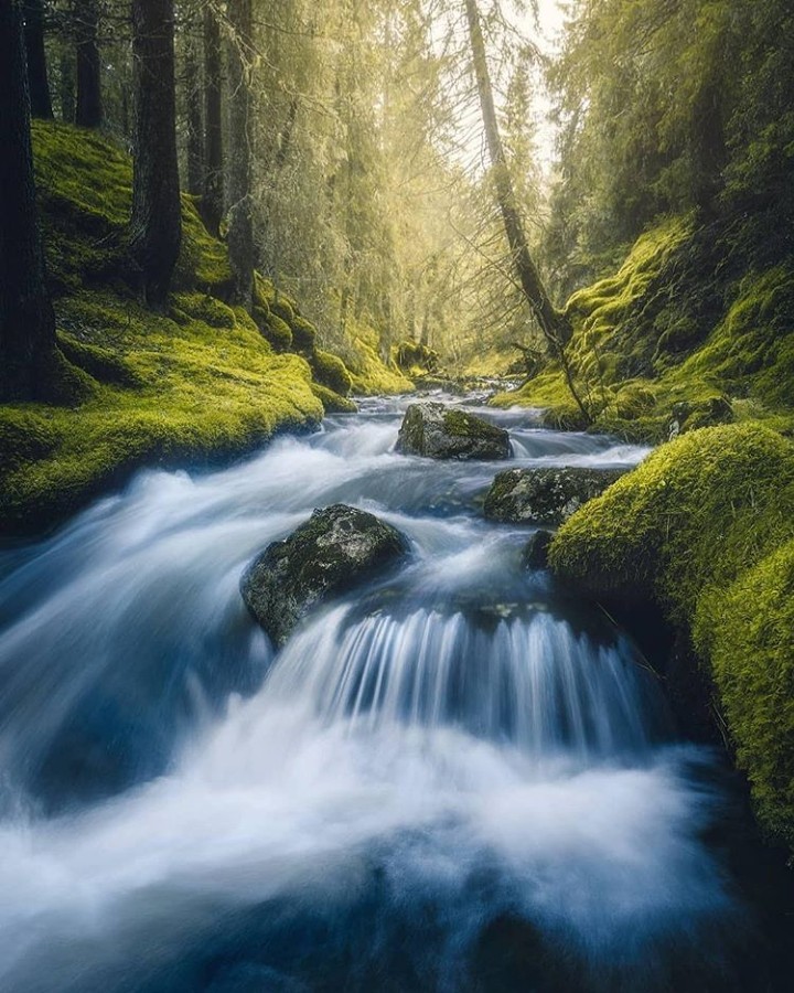 beautiful photo