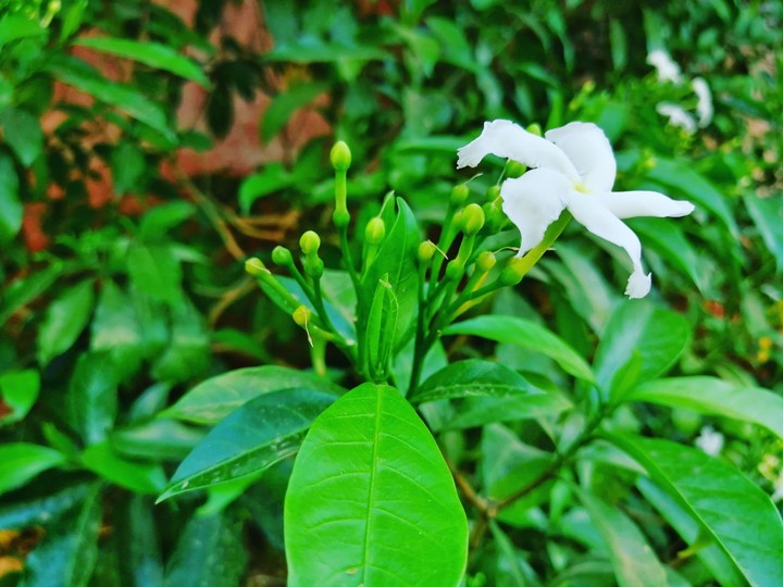 nature Photography
