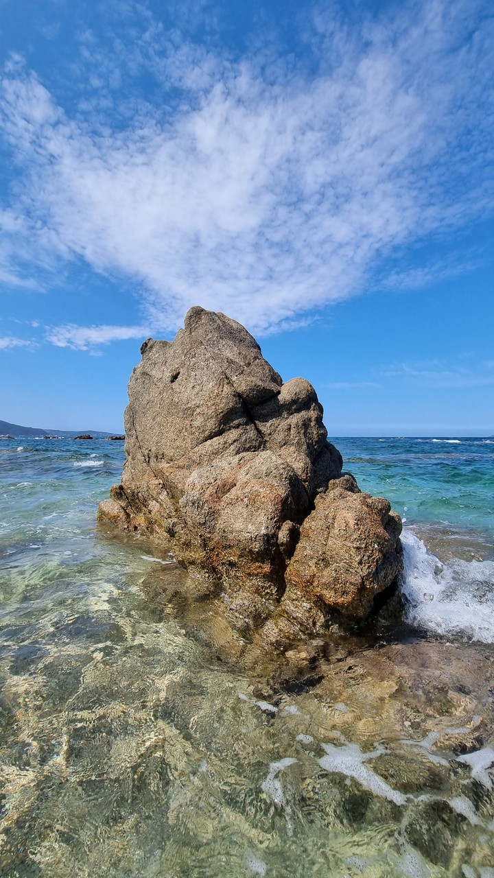Corse