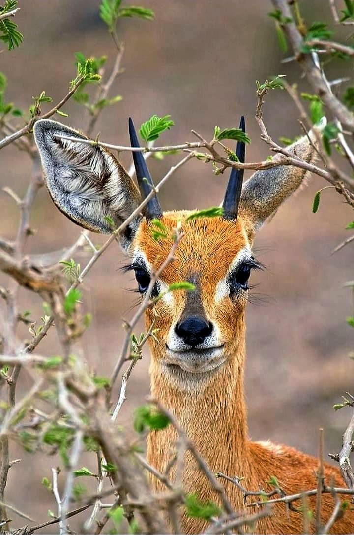 hey! there