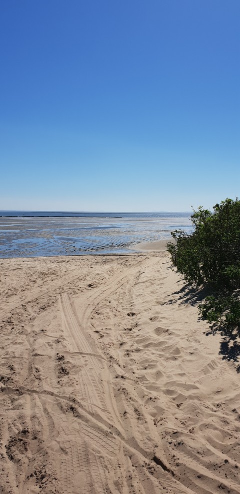 Wattenmeer