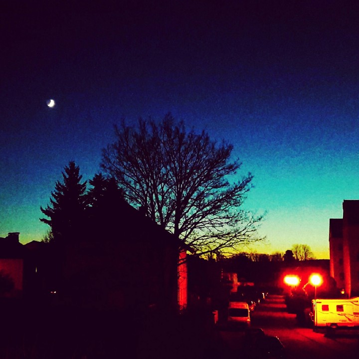Night Light