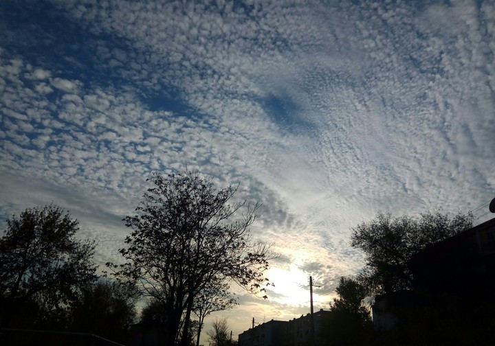 Ташкентское небо sky sunset
