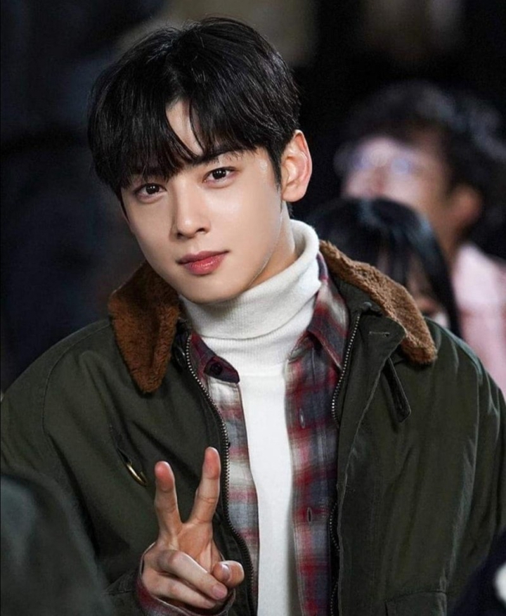 Korean actor ChaEunwoo