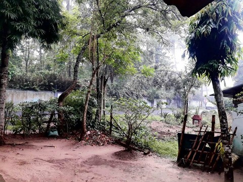 monsoon