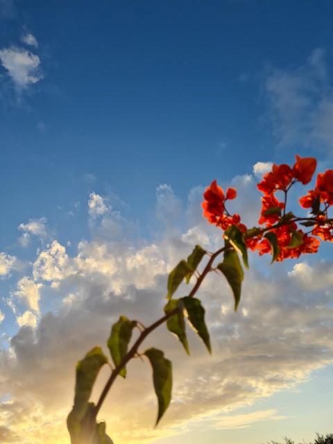 sky