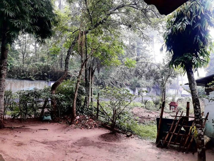 monsoon