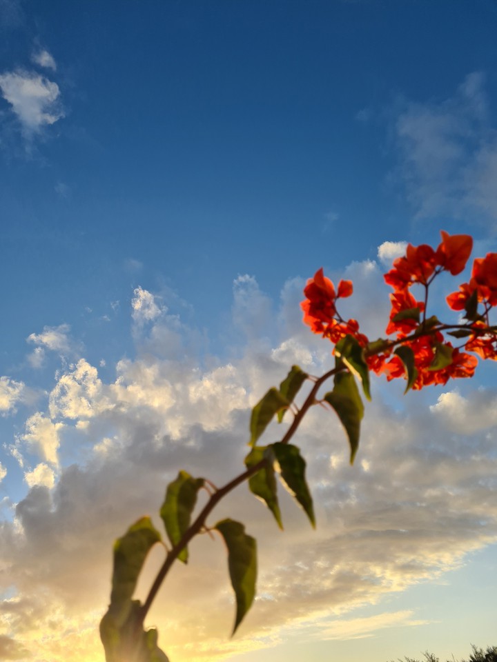 sky