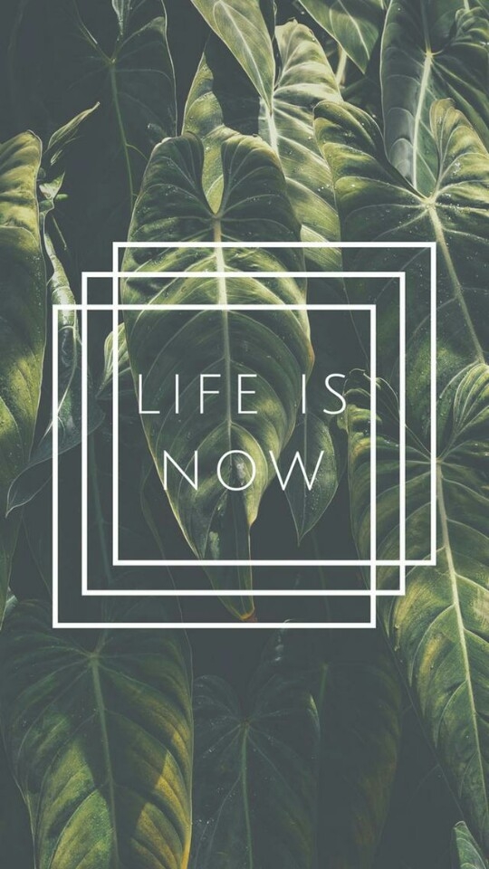 life is now