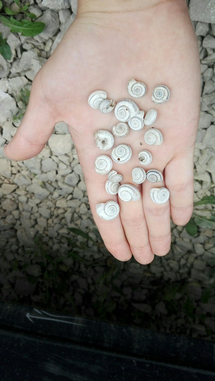 A little nature in your palm