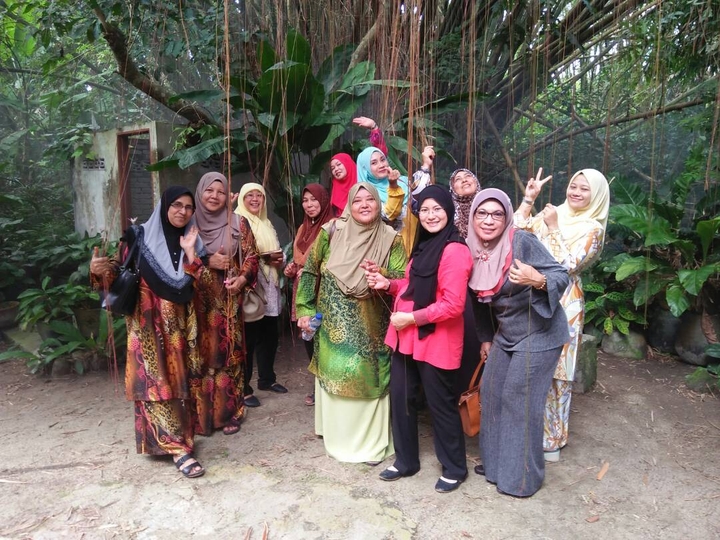 @jungle