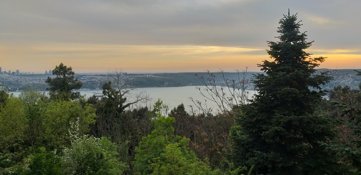Sea view