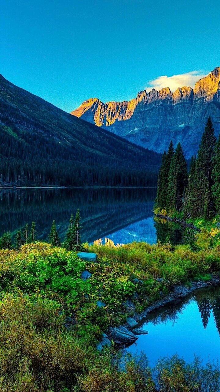 #nature
