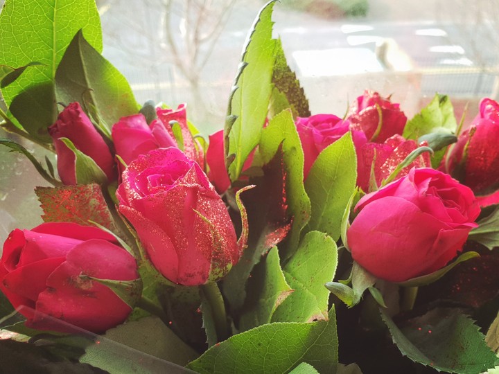 roses
