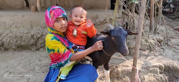 Goat distribution in poor families