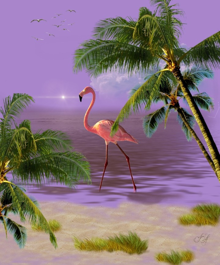#nice_art