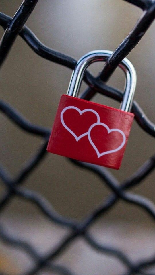 ❤❤❤