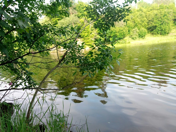 summertime