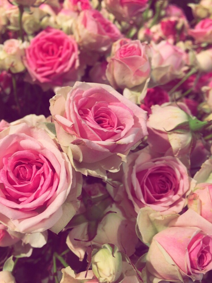 flowers