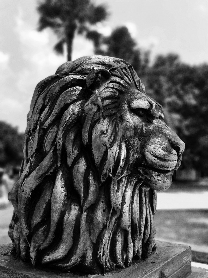 Lion King