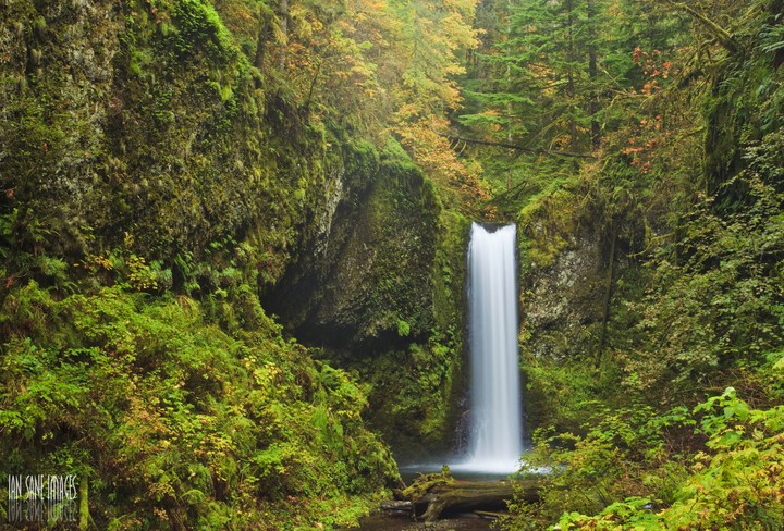 Weisendanger Falls - Height 55' - Elevation 950'