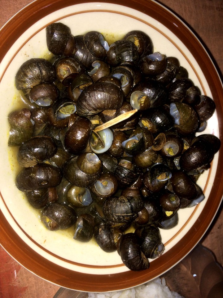 siput rebus