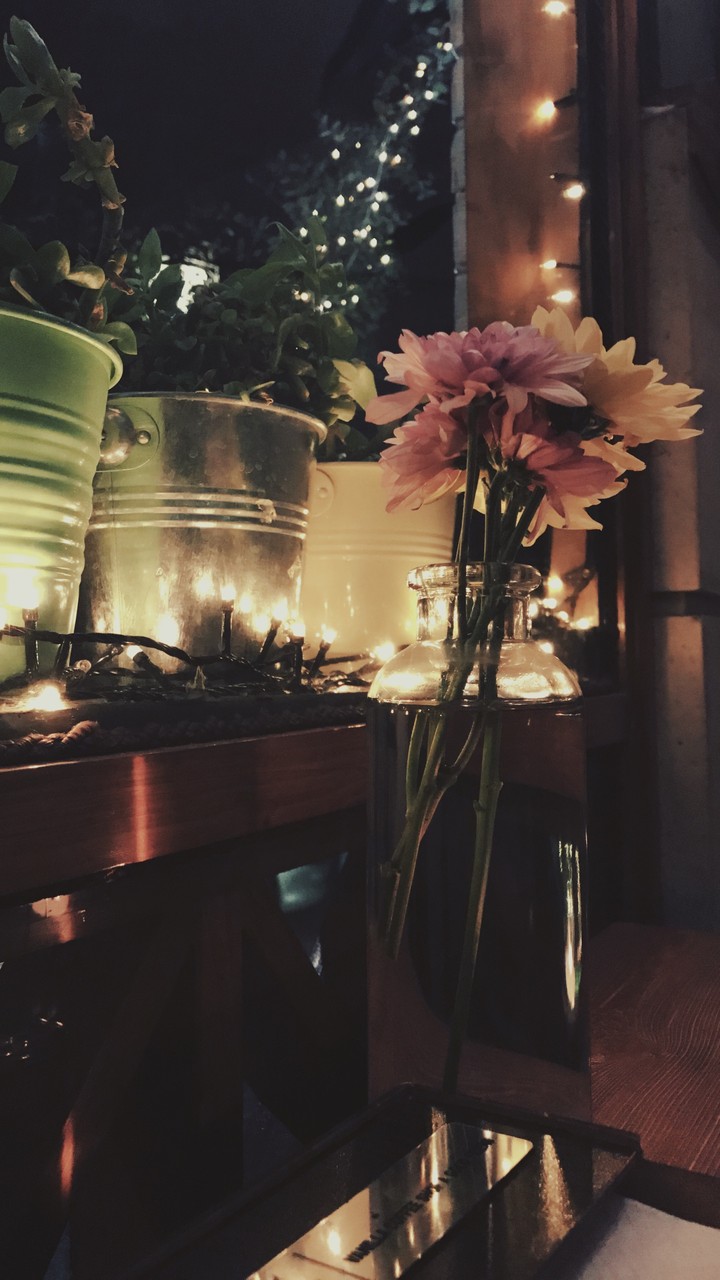 flower in the night