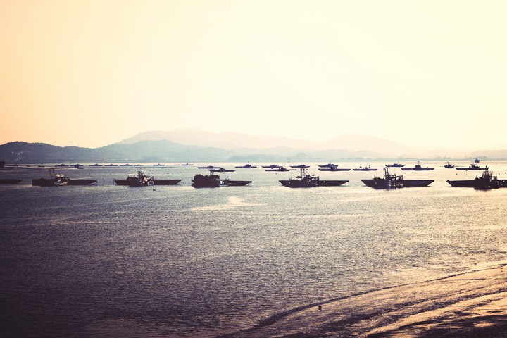 바닷가 고기배