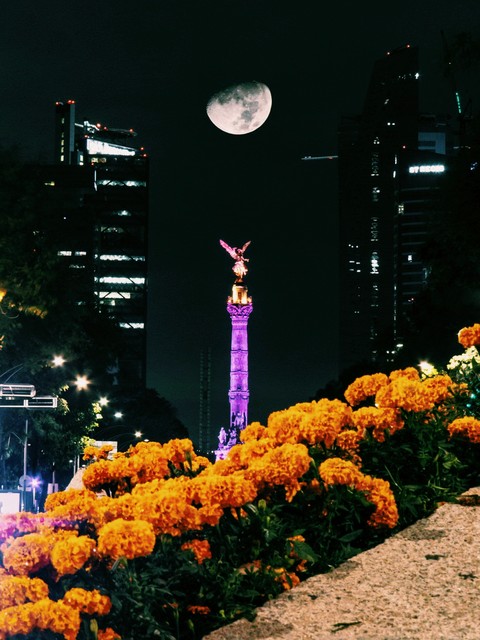 México city