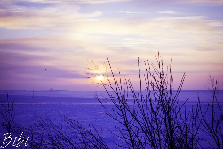 snow in the field