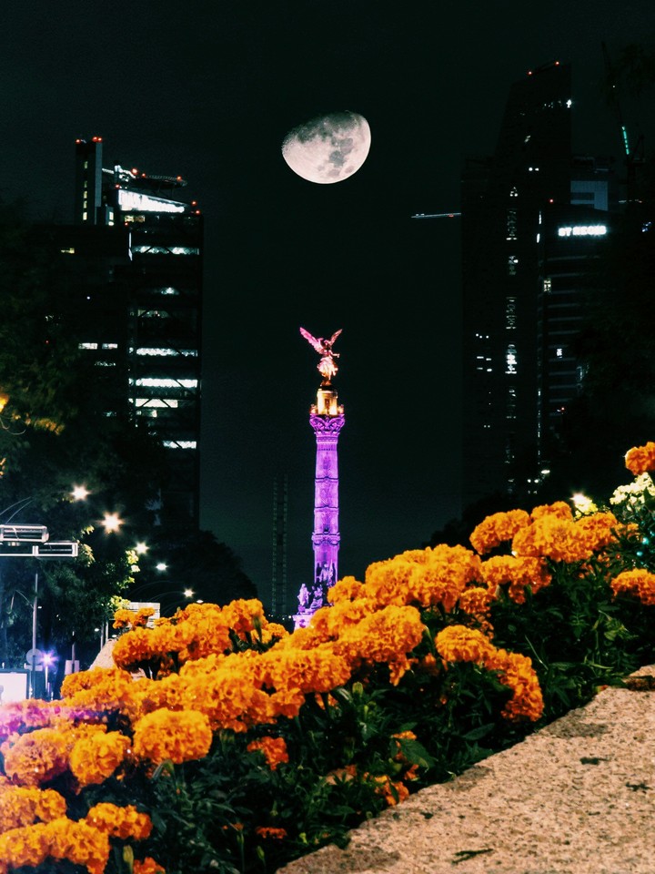 México city