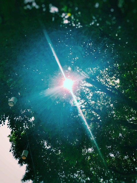 sunshine