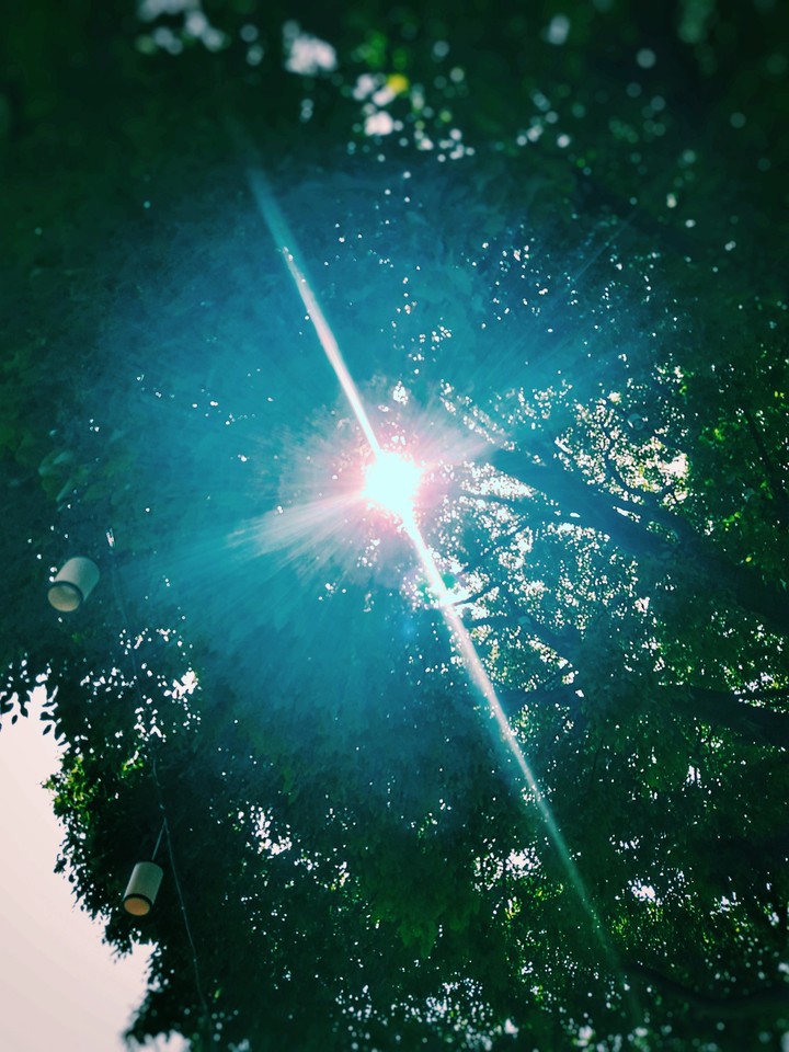 sunshine