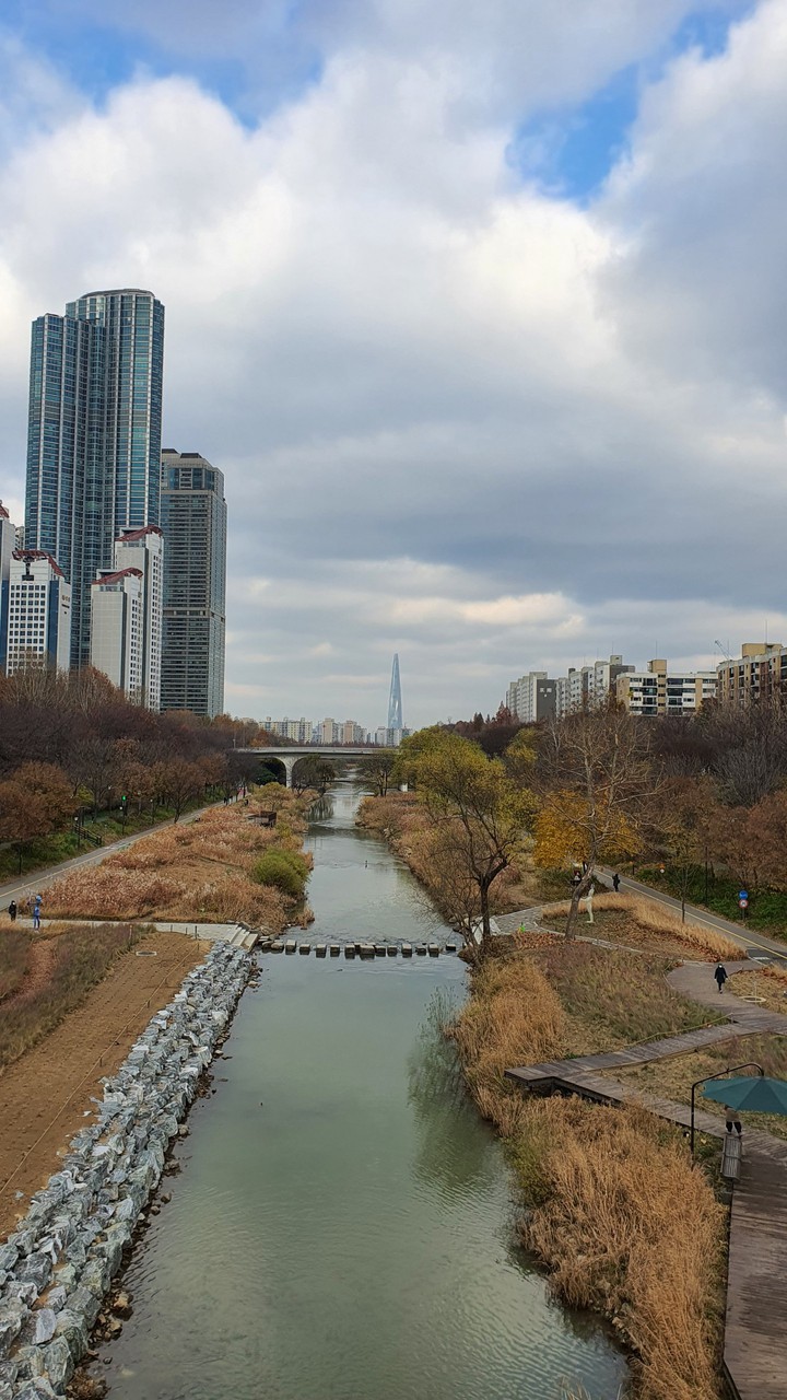 양재천