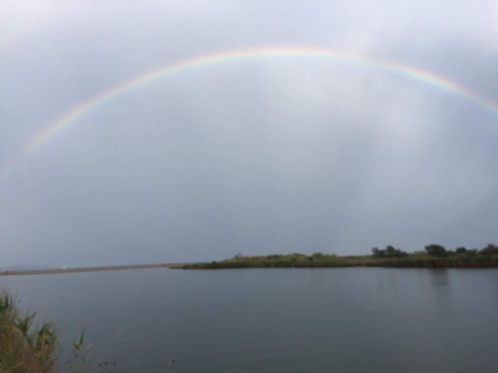 arco iris