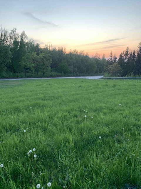 обои grassland, sky