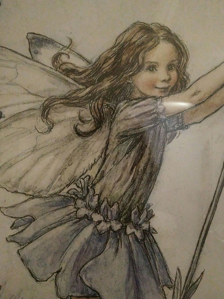 the lavender fairy