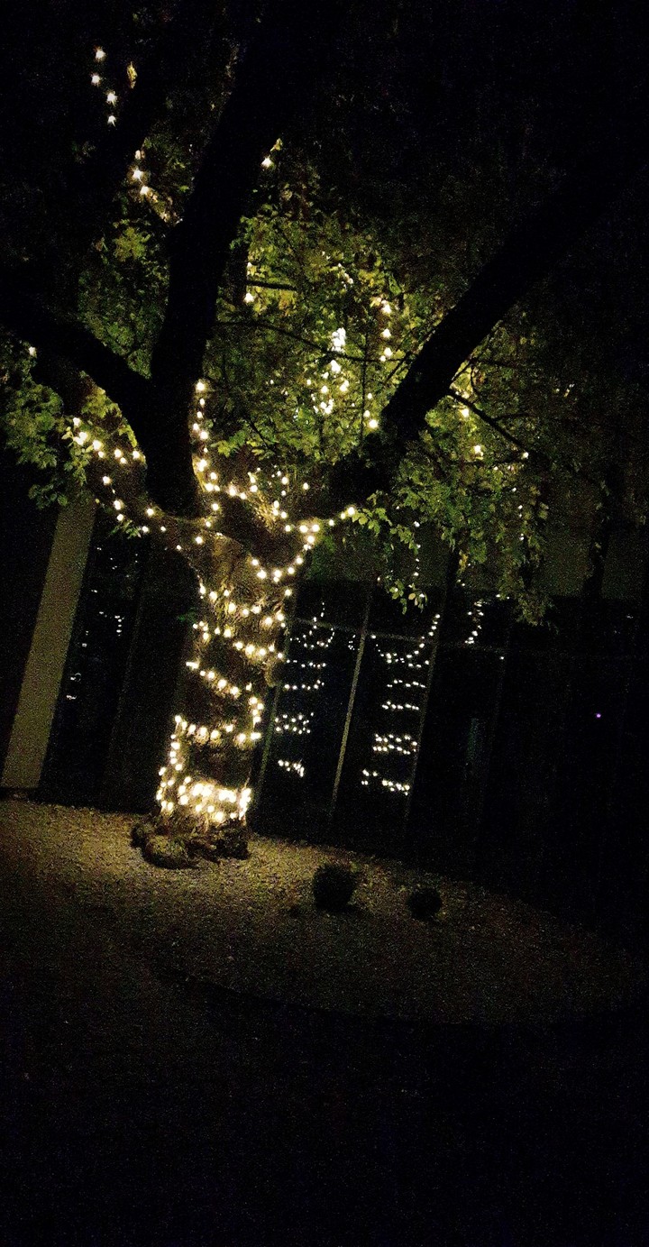 lights