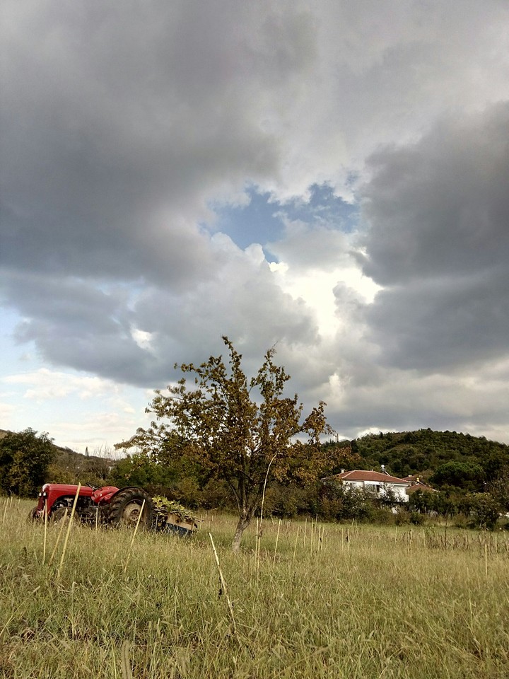 doğal güzellik
